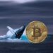 Bitcoin Whales Go On 20,000 BTC Buying Spree