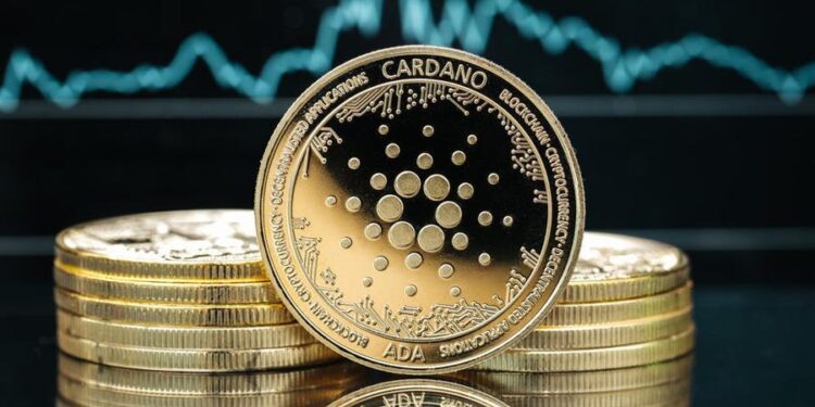 Cardano Whales Start 2023 With Accumulation Trend That Could Be Bullish For ADA