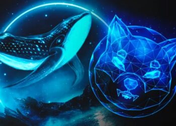Whale Moves Huge Amount Of Shiba Inu Tokens As SHIB Unveils To Metaverse