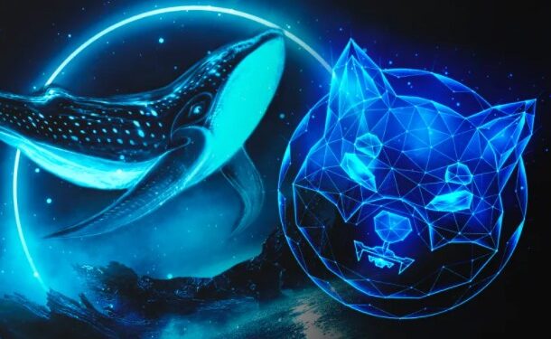 Whale Moves Huge Amount Of Shiba Inu Tokens As SHIB Unveils To Metaverse