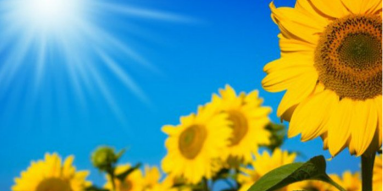 Solana Moves On From FTX Crisis, Sparkles 46% In Last 7 Days