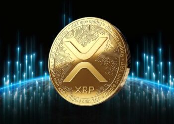 XRP Tops List Of Gainers As Whale Interest Spikes