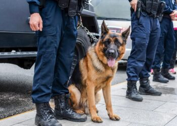 Nexo’s Bulgarian Offices Raided, Samsung to List Bitcoin Futures Active ETF in Hong Kong, Trezor Saw a 300% Spike in Sales