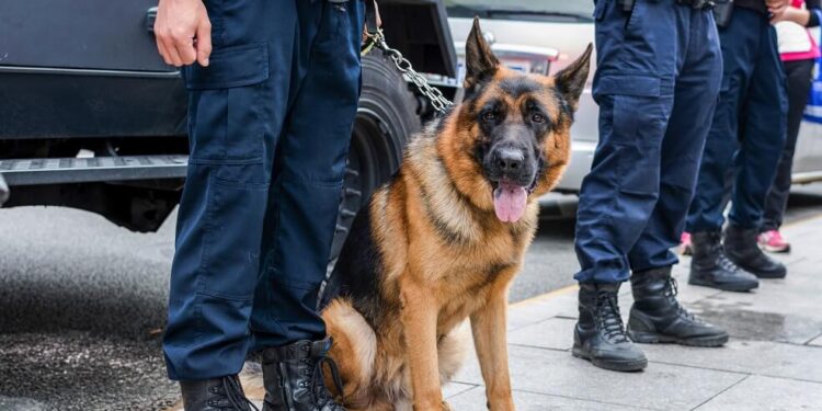 Nexo’s Bulgarian Offices Raided, Samsung to List Bitcoin Futures Active ETF in Hong Kong, Trezor Saw a 300% Spike in Sales