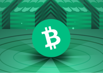 Bitcoin Cash Closes 2022 With A Year-Low