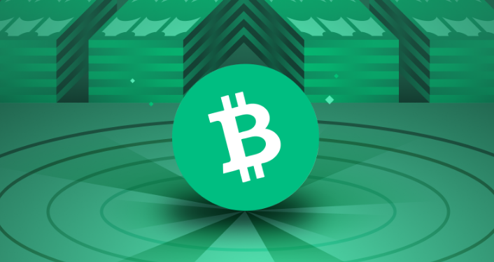 Bitcoin Cash Closes 2022 With A Year-Low