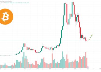 Bitcoin Price Forecasts For 2023 Are In and Here’s What The Bulls and Bears Think
