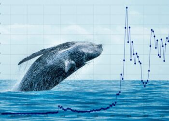 Crypto Whales are Adding These Cryptos to Their Holdings – Here’s Why