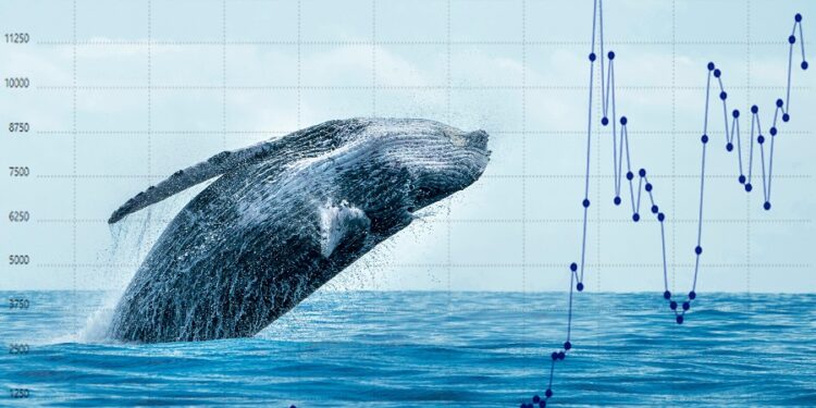 Crypto Whales are Adding These Cryptos to Their Holdings – Here’s Why