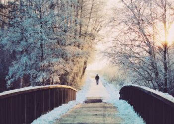 These Businesses Will be The Survivors of the Crypto Winter, Says a Top Financial Services Lawyer