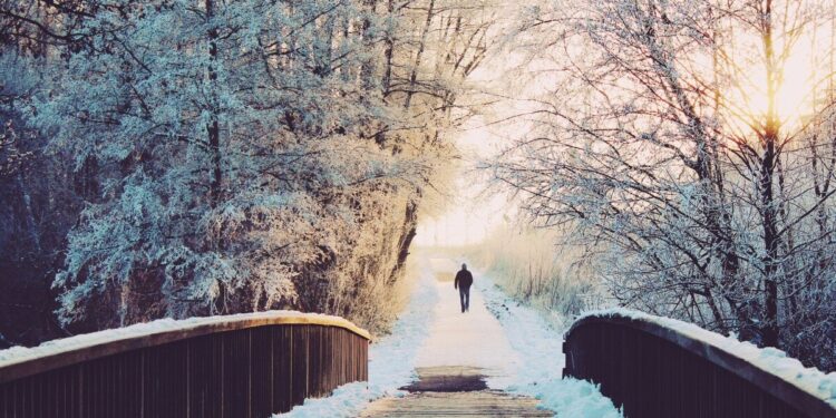 These Businesses Will be The Survivors of the Crypto Winter, Says a Top Financial Services Lawyer