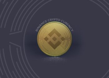 Binance Coin Forms Bearish Pattern, Fundamentals Look Strong