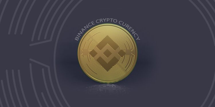 Binance Coin Forms Bearish Pattern, Fundamentals Look Strong