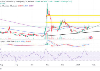 Dogecoin Price Prediction as $1 Billion Trading Volume Comes In – Can DOGE Hit $1 This Year?