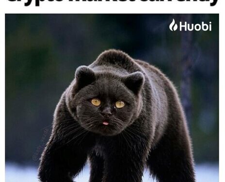 Shining Bitcoin Towers, Waking ETH Whales, Commingled Customer Funds and 20 Crypto Jokes