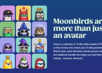 Moonbirds NFT Creator Loses $1 Million Almost Instantly After Wallet Hack – Here’s What Happened
