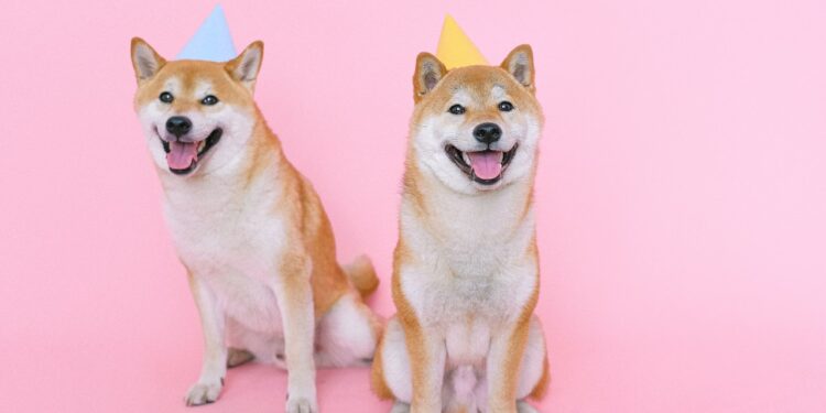 What is ShibaSwap and How Does It Work?