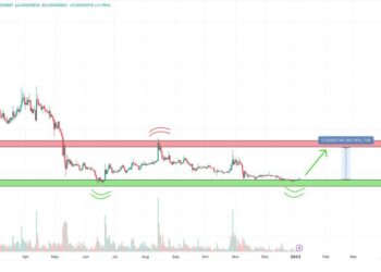 Is it Too Late to Buy Shiba Inu? Crypto Experts Give their SHIB Price Predictions for 2023