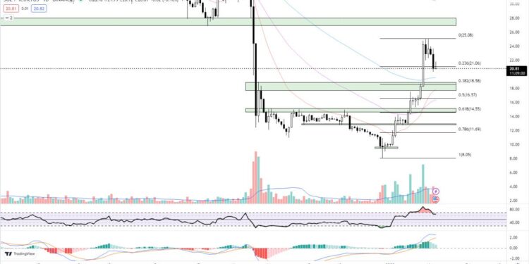 How Solana Price Was Rescued By Unlikely Meme Coin BONK