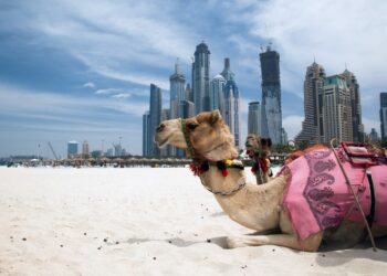 UAE Minister Says Crypto Will Play a “Major Role for UAE Trade Going Forward”