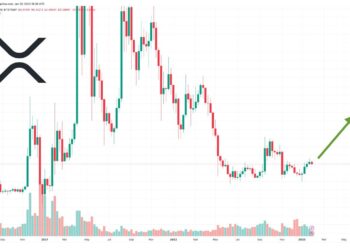 XRP Price Prediction as Ripple Announces New President while SEC Lawsuit Decision Approaches – XRP Pump Incoming?