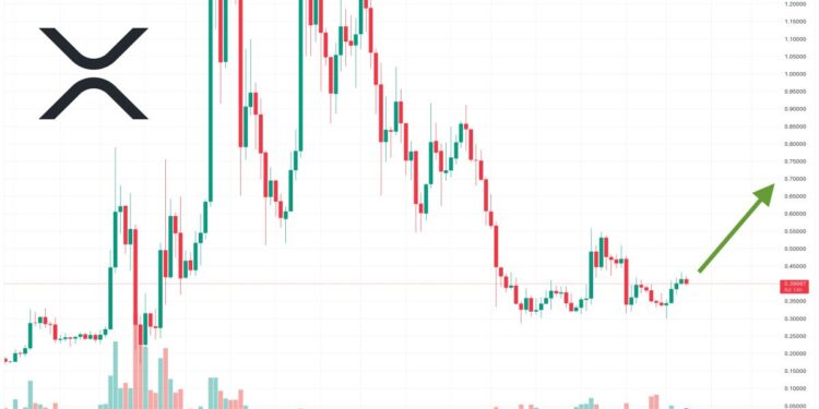 XRP Price Prediction as Ripple Announces New President while SEC Lawsuit Decision Approaches – XRP Pump Incoming?