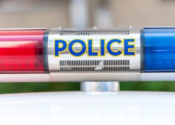 S Korean Police Arrest 30 in ‘Crypto Scam’ Bust