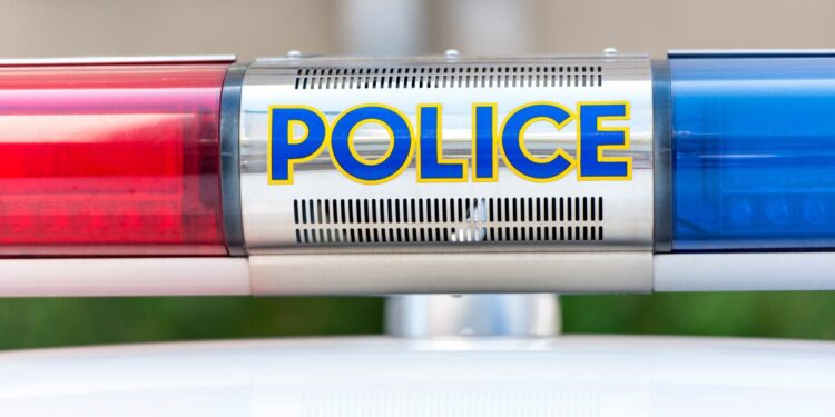 S Korean Police Arrest 30 in ‘Crypto Scam’ Bust