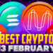 Best Crypto to Buy Today 13 February – MEMAG, SOL, FGHT, MINA, CCHG
