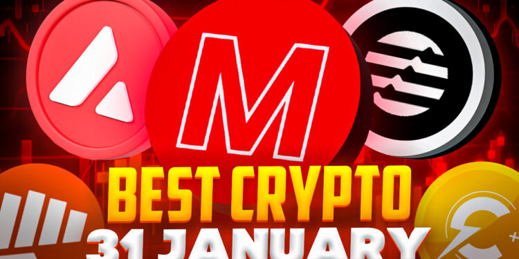 Best Crypto to Buy Today 31 January – MEMAG, APT, FGHT, AVAX, CCHG
