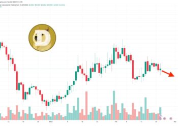 Dogecoin Price Prediction as $600 Million Trading Volume Comes In – Are Whales Buying?