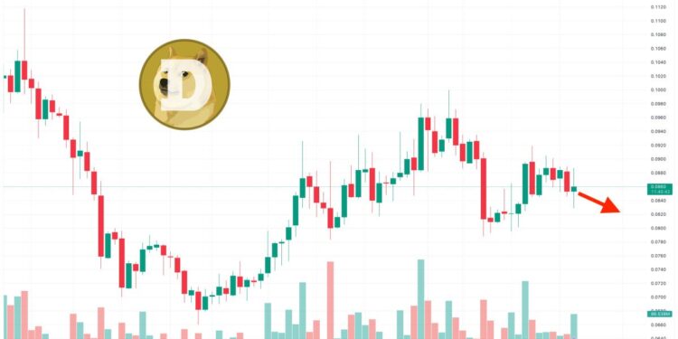 Dogecoin Price Prediction as $600 Million Trading Volume Comes In – Are Whales Buying?