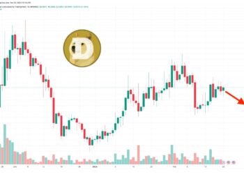 Dogecoin Price Prediction as DOGE Whale Moves Millions of Tokens to Unknown Wallet – What’s Going On?