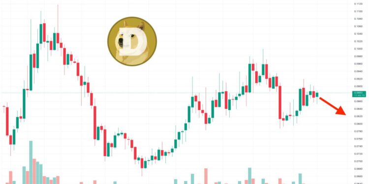 Dogecoin Price Prediction as DOGE Whale Moves Millions of Tokens to Unknown Wallet – What’s Going On?