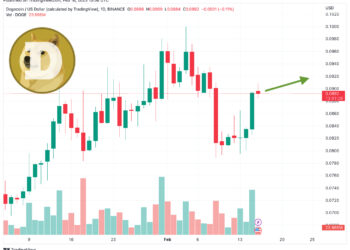Dogecoin Price Prediction as Elon Musk Posts Photo of His Dog on Twitter – Is Elon Buying More DOGE?