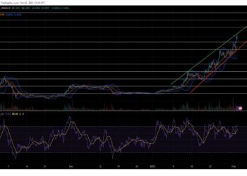 Is it Too Late to Buy Fantom? Crypto Traders Give their FTM Price Predictions