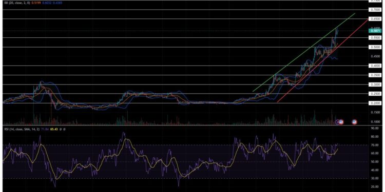 Is it Too Late to Buy Fantom? Crypto Traders Give their FTM Price Predictions