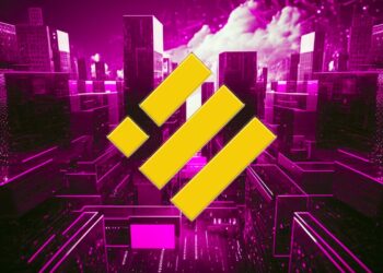 Stablecoin Issuer Paxos Categorically Disagrees With SEC’s Notice Alleging That Binance USD Is a Security