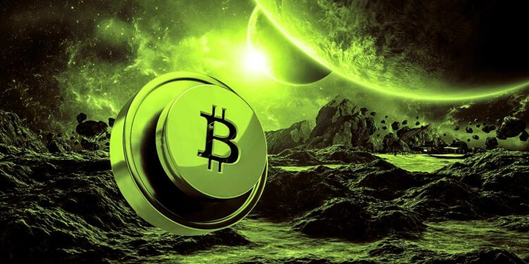 Trader Who Called Exact Bitcoin Bottom Updates Outlook on BTC, Reveals Monster Price Target for Litecoin (LTC)