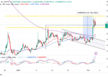 Terra Luna Classic Price Prediction as LUNC Blasts Up 24% in a Month – Are Whales Buying?
