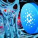 Charles Hoskinson Says Cardano Ecosystem Is Fine After SEC Bans Kraken US Staking Service – But There’s a Catch