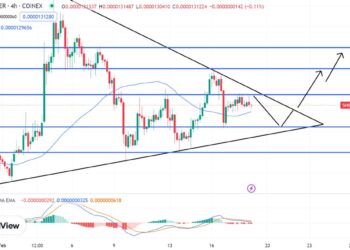 Shiba Inu Price Prediction as $300 Million Trading Volume Comes In – Are Whales Buying?