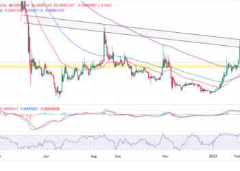Shiba Inu Price Prediction as $300 Million Trading Volume Comes In – Is It Time to Buy?