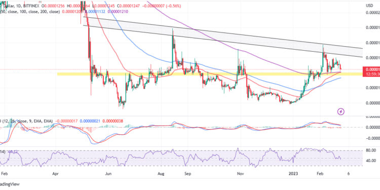 Shiba Inu Price Prediction as $300 Million Trading Volume Comes In – Is It Time to Buy?