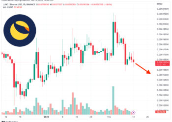 Terra Luna Classic Price Prediction as LUNC Falls Below $1 Billion Market Cap – Time to Buy the Dip?