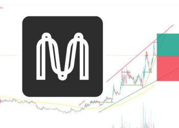 Is It Too Late to Buy Mina Protocol? Crypto Experts Give Their MINA Price Predictions