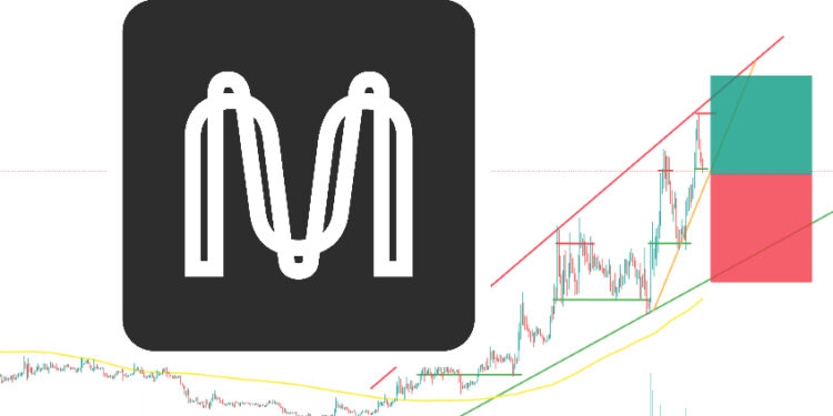 Is It Too Late to Buy Mina Protocol? Crypto Experts Give Their MINA Price Predictions