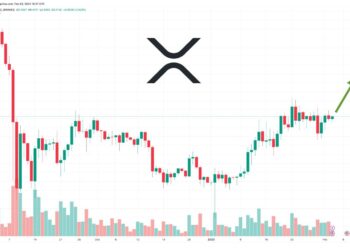 XRP Price Prediction as $1 Billion Trading Volume Comes In – Are Whales Buying?