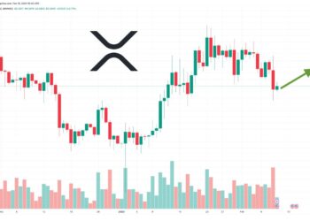XRP Price Prediction as XRP Whale Activates Wallet With 30 Million Tokens – What’s Going On?