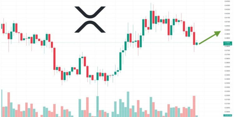 XRP Price Prediction as XRP Whale Activates Wallet With 30 Million Tokens – What’s Going On?